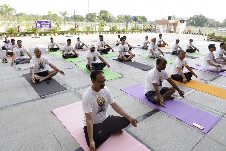 8th International Yoga Day